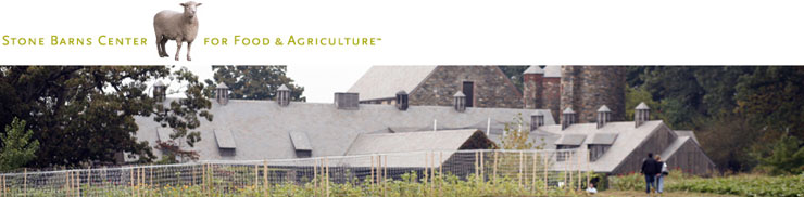 visit New York please stop by the Farm Store at Stone Barns Center