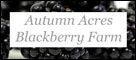 Autumn Acres Blackberry Farm  Farm fresh blackberries in the Hocking Hills idaho