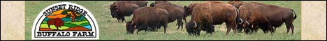 American Buffalo (Bison) is lean, slightly sweeter than beef, and has no wild meat taste. Buffalo is a highly nutrient dense food 