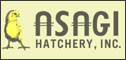 commercial chicken hatchery in the State of Hawaii. We've been in the locally-grown chicken and egg business since 1935