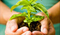 coloradan pesticides, pest control suppliers, manufacturers and retailers