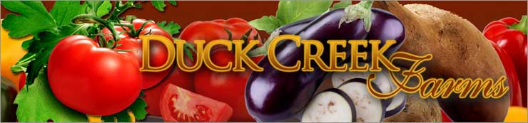 Welcome to Duck Creek Farms - growing quality tomato and bedding plants for over 30 years.  We only ship sweet potato plants at this time. Please see our Sweet Potato list for shipping details. Our Tomato/Herb plants are available for local sales only, and can be found at the below listed plant festivals.