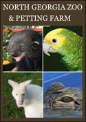 80 different species of exotic animals.  From Alligators, monkeys, kangaroos, wildcats, zebras and more