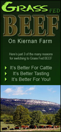 grass fed cattle beef new york farm
