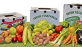 colorado home produce