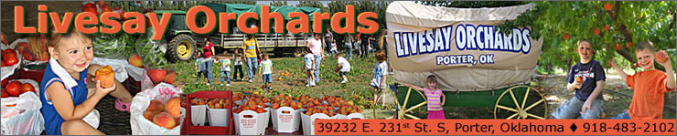 Visit downtown Porter for the festivities, and then come to the orchard for fresh Porter Peaches, peach jam, butter, salsa, and more! Remember-our peach harvest continues through early October!  We also grow sweet corn, summer squash, blackberries, nectarines, watermelons, cantaloupe, tomatoes, apples and pumpkins, and sell a large variety of locally grown vegetables throughout the season.