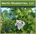 U-Pick Blueberries