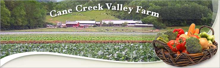 purchased the farm in 1903 and grew organic vegetables that he sold locally and to surrounding communities. 