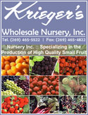     * Red Raspberries, Heritage, Latham,       Red Thornless, September     * Yellow Raspberries, Fall Gold     * Black Raspberries, Bristol, Jewell     * Purple Raspberries, Brandywine     * Red Rhubarb     * Concord, Niagara, Catawba, Fredonia,       King of the North Grapevines     * Concord, Himrod, Canadice Seedless Grapevines     * Thornless Blackberries, Arapaho, Hull     * Asparagus Roots, Jersey Knight, M. Washington, Purple Passion, Viking KB3     * Bluecrop, Blueray, Jersey, Coville, Berkeley Blueberries / Blueberry Plants     * Red Currants / Red Currant Plants, Perfection,       Red Lake     * Black Currants, Consort     * White Currants, Imperial     * Pixwell, Invicta, Hinnomaki Red Gooseberries / Gooseberry Plants     * Junebearing and Everbearing Strawberries     * Jostaberry     * Horseradish     * Hops Rhizomes 