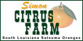 All of the Louisiana Satsuma Mandarin Orange Trees in our orchard are from a proven tree stock to assure the quality of the fruit we sell.  If you are not familiar with the Louisiana Satsuma Orange, it is about the size of a Tangerine and is very sweet. The fruit turns from green to yellow as it ripens and to orange at full maturity.