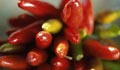 buy peppers fruit and vegetables in arizona