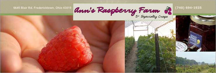 Ann's Raspberry Farm & Specialty Crops is, proudly, a Certified Naturally Grown farm. We specialize in growing Chemical-Free Red Raspberries and Brussels Sprouts. Seasonally, we offer educational farm tours and u-pick opportunities.