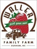 real working strawberry farm usa